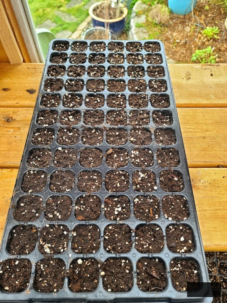 72-cell tray filled with seed starting mix