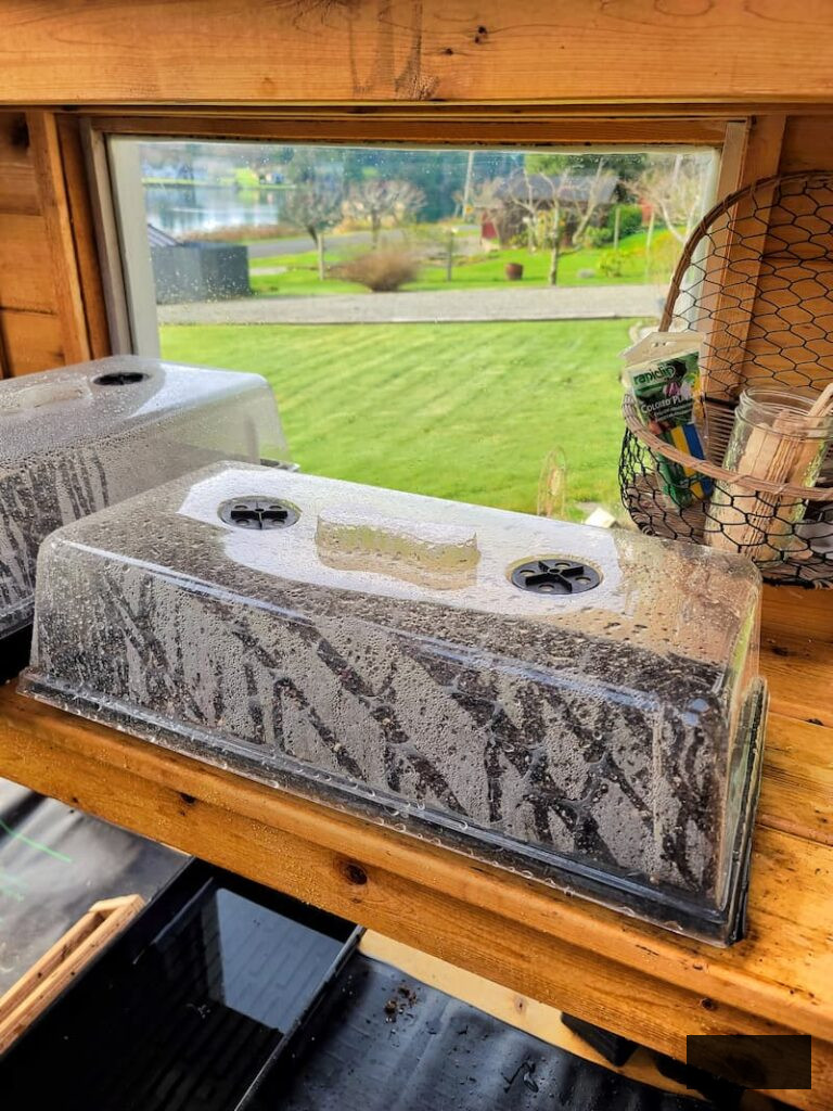 supplies for seed starting, including a plastic humidity dome