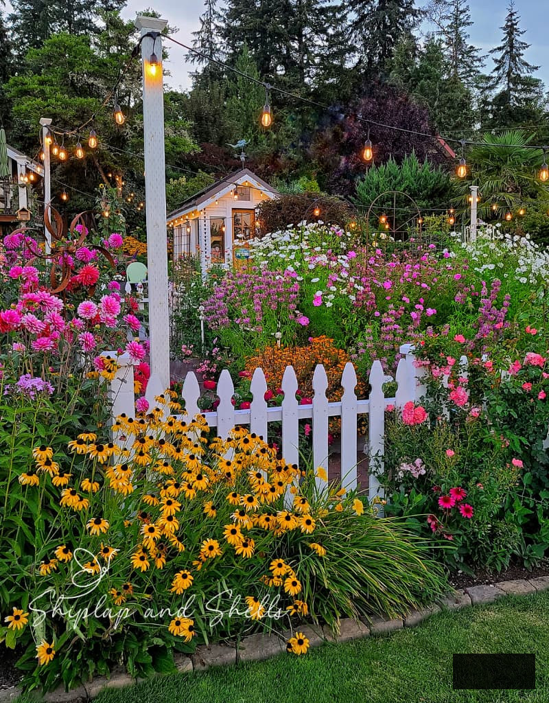 cut flower garden and greenhouse
