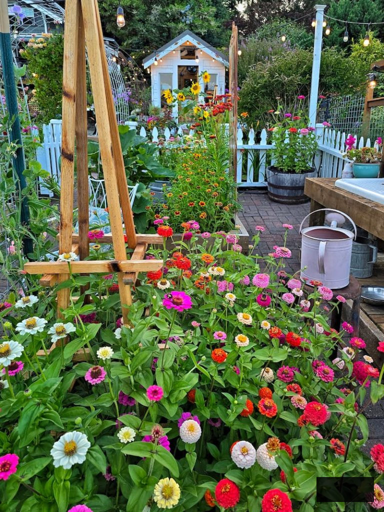 greenhouse and cut flower garden in summer