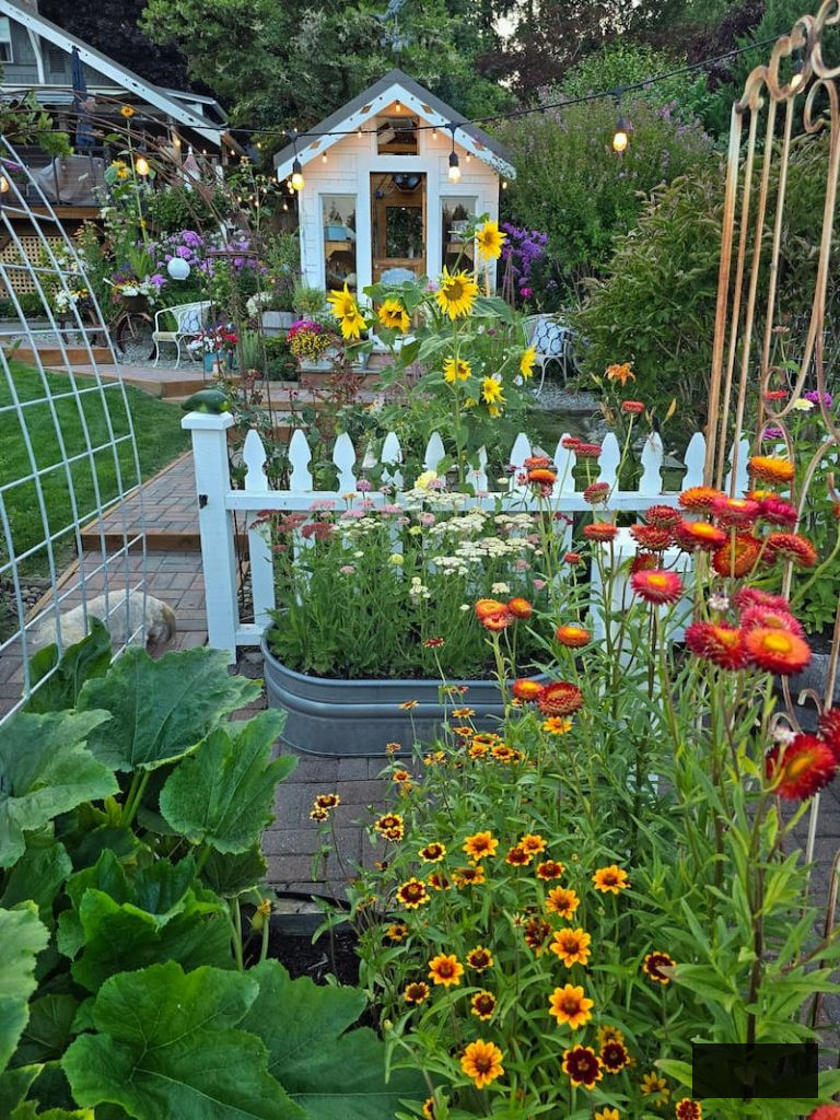 greenhouse and cut flower garden