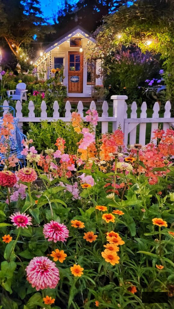 greenhouse and cut flower garden during the evening