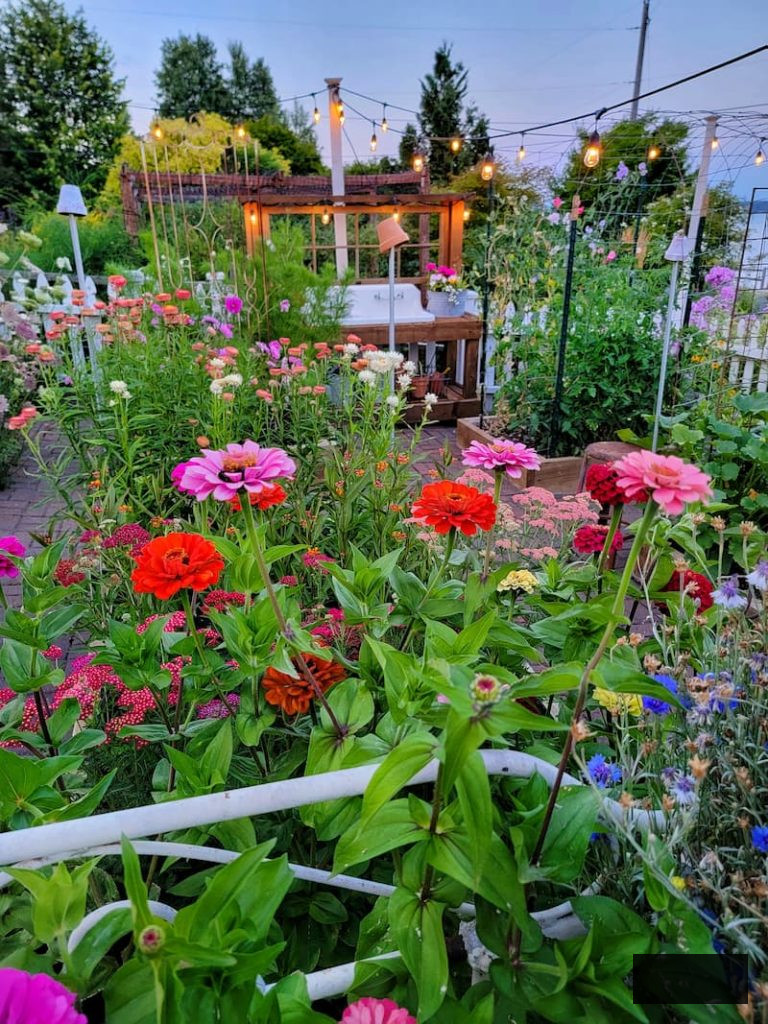 flower garden and potting table during a summer evening