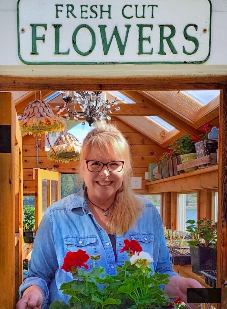 caring for geraniums in the greenhouse