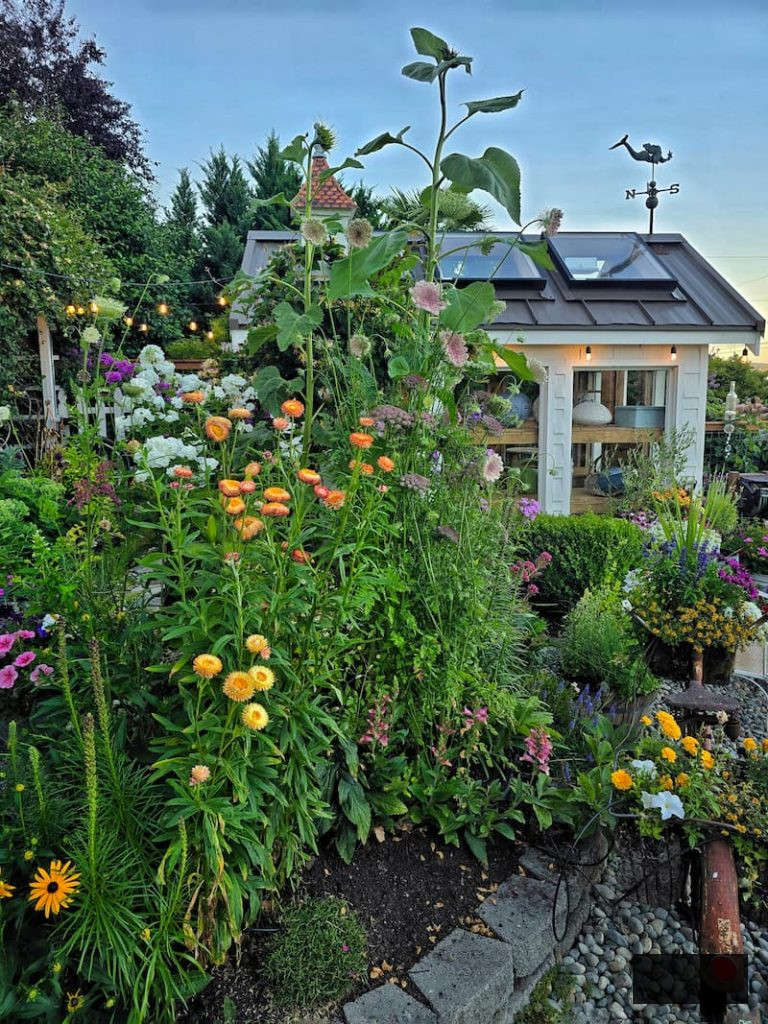 cottage garden greenhouse and flowers