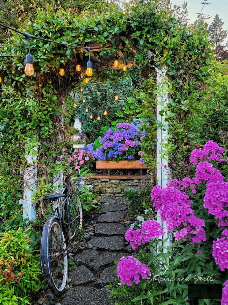 garden pathway adorned with bistro lights and vibrant purple and pink hydrangeas and phlox