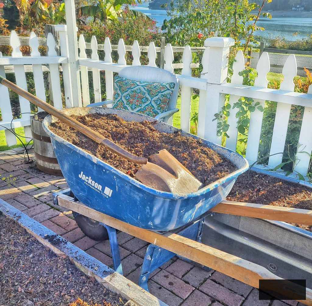 compost in a wheelbarrow with shovel
