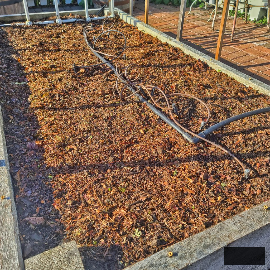 layer of mulch on top of the raised beds