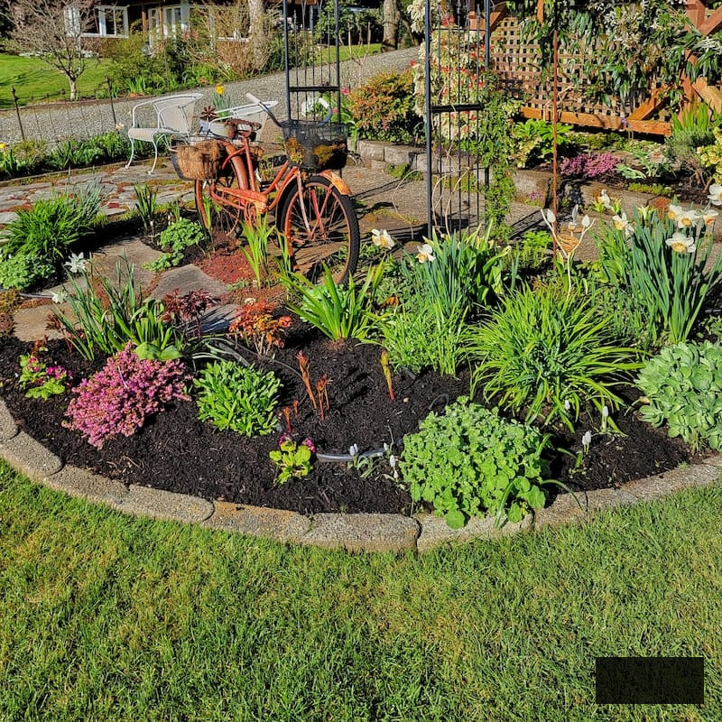 early spring garden with fresh compost added to beds