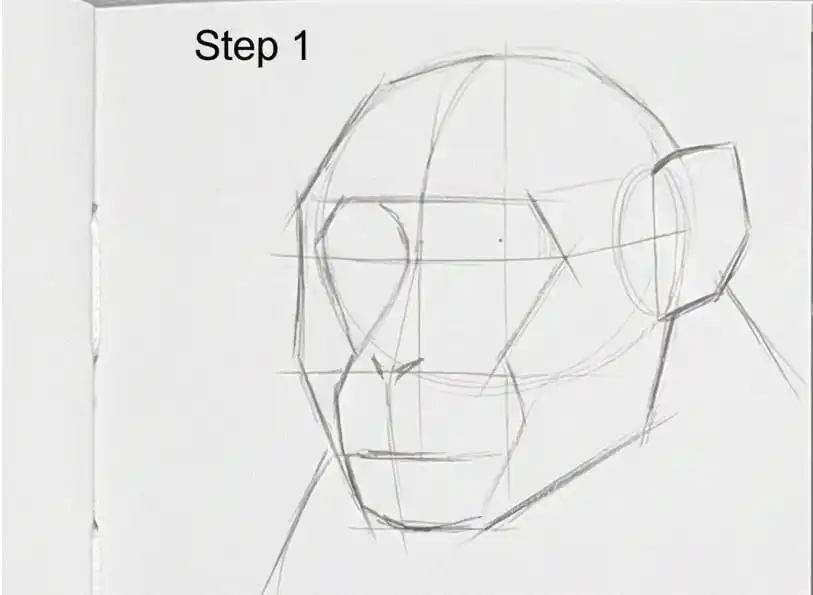 Step 1 monkey head sketch with faint pencil guidelines for positioning the eyes, snout, and ears.