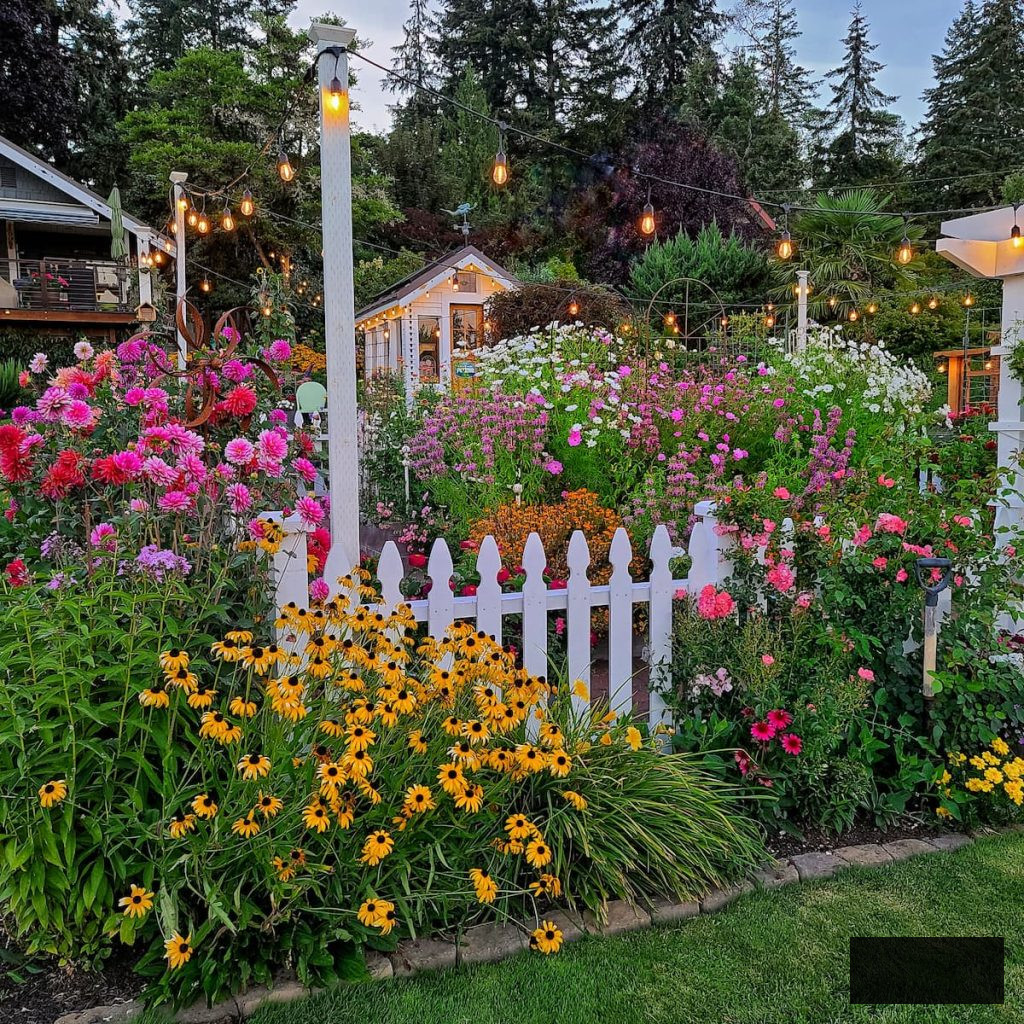 summer cut flower garden