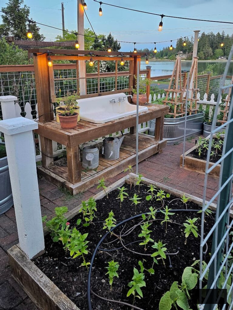 seedlings developing in the cut flower garden and potting bench with vintage farmhouse sink