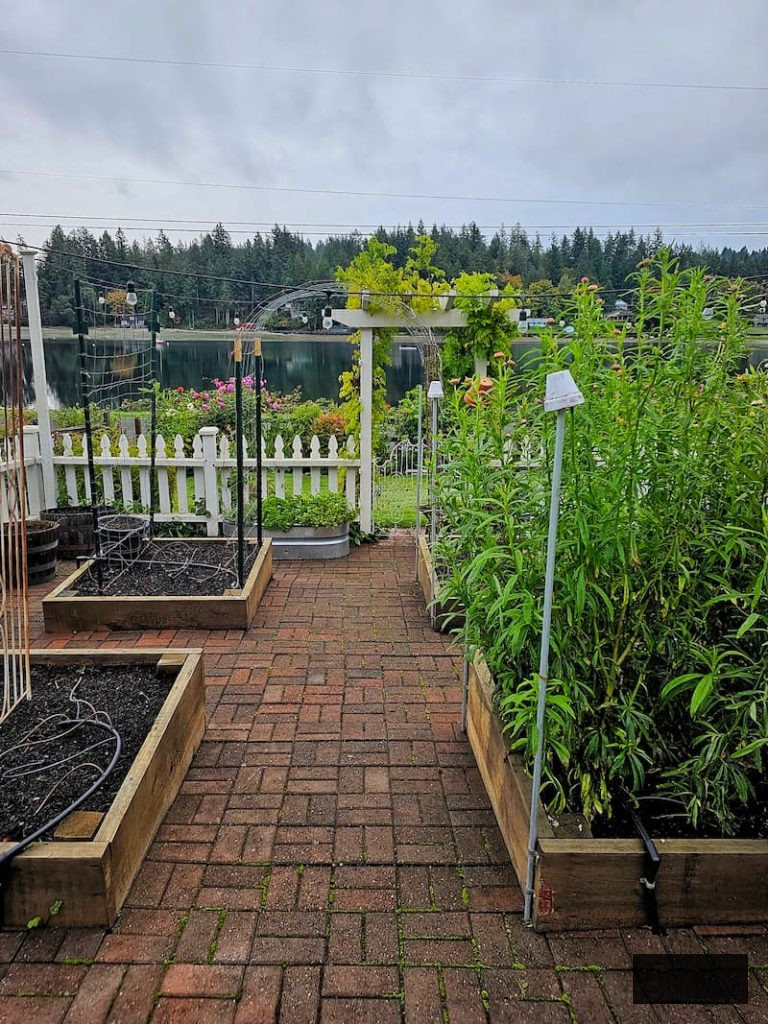 unplanted raised beds in the cutting garden