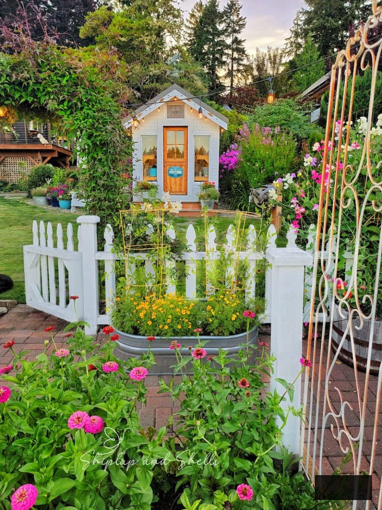 greenhouse and cut flower garden with marigolds and tomatoes