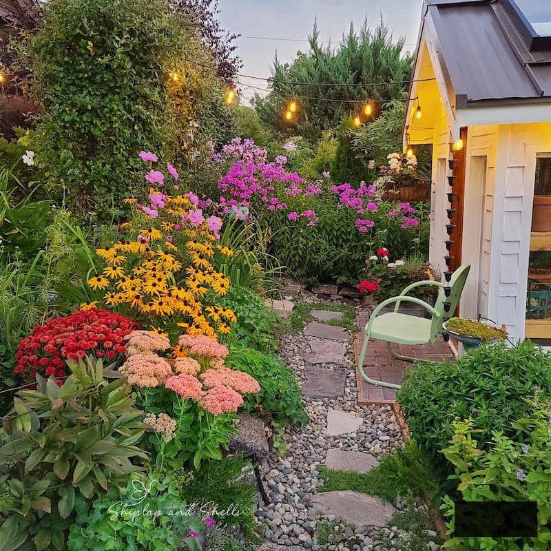 late summer garden flowers