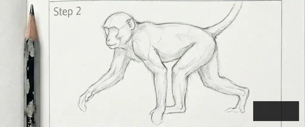monkey-2 Sketch of a monkey in step 2 of drawing process, with a pencil on the left side. Concentrated on anatomy and shape. | Sky Rye Design Sketch of a monkey in step 2 of drawing process, with a pencil on the left side. Concentrated on anatomy and shape.