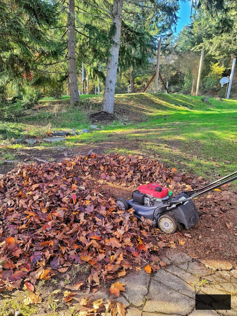 mulching leaves with a lawn mower