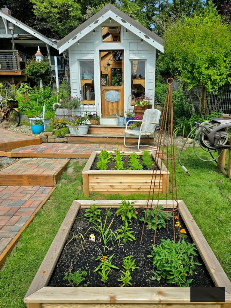 greenhouse and raised beds with new seedlings planted