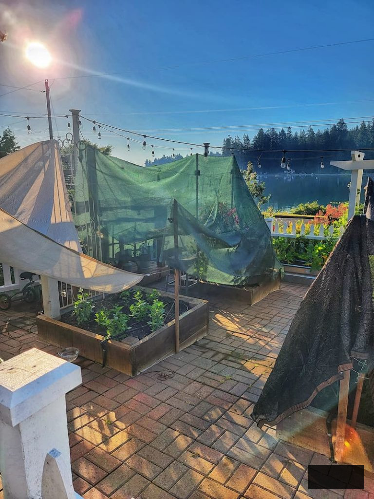 shade cloth covering cut flower garden