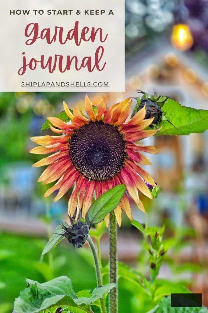 how to start and maintain a garden journal graphic