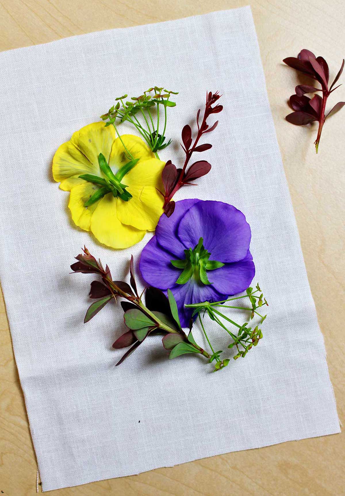 Uma flor amarela e roxa e folhas vermelhas viradas para baixo sobre um pedaço de tecido branco.