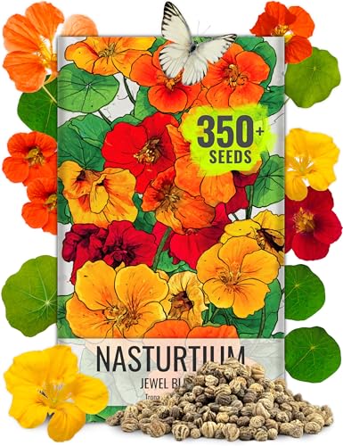 Sementes de Capuchinha Jewel Mix Flores Comestíveis Multicoloridas | 1,5 Onça 350+ Sementes da Mistura de Sementes de Flor Anual Tropaeolum Nanum | Capuchinhas para o controle de insetos da abóbora