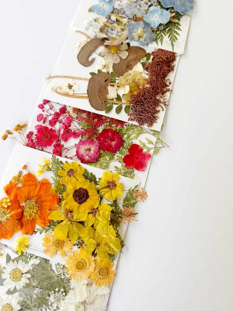 flores prensadas para artesanato de outono
