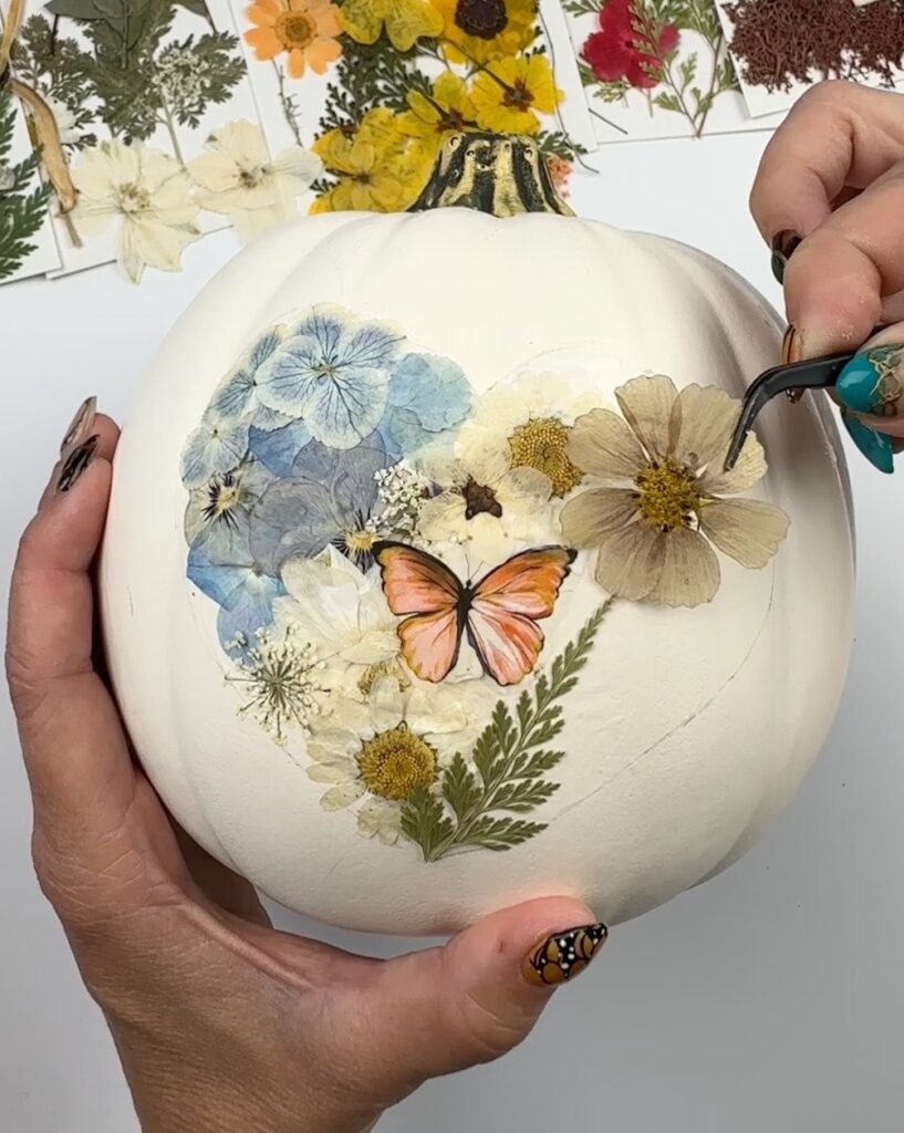 abóbora com flores prensadas