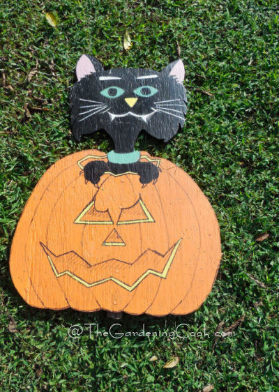 Gato e Abóbora DIY