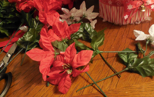 Espeitos de poinsettia