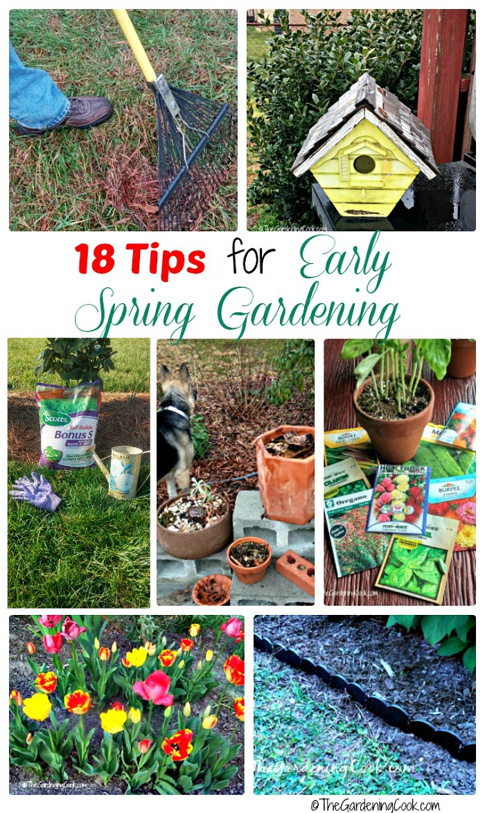 Colagem com rastelo, casa de pássaros, cuidado do gramado, vasos, sementes e flores, e palavras dizendo 18 Dicas para Jardinagem no Início da Primavera.