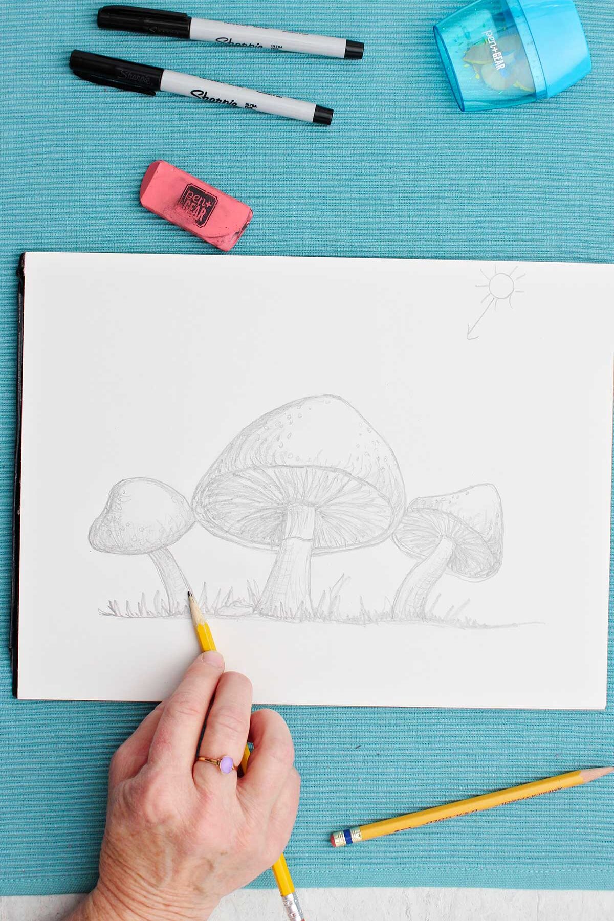 Um desenho a lápis de cogumelos