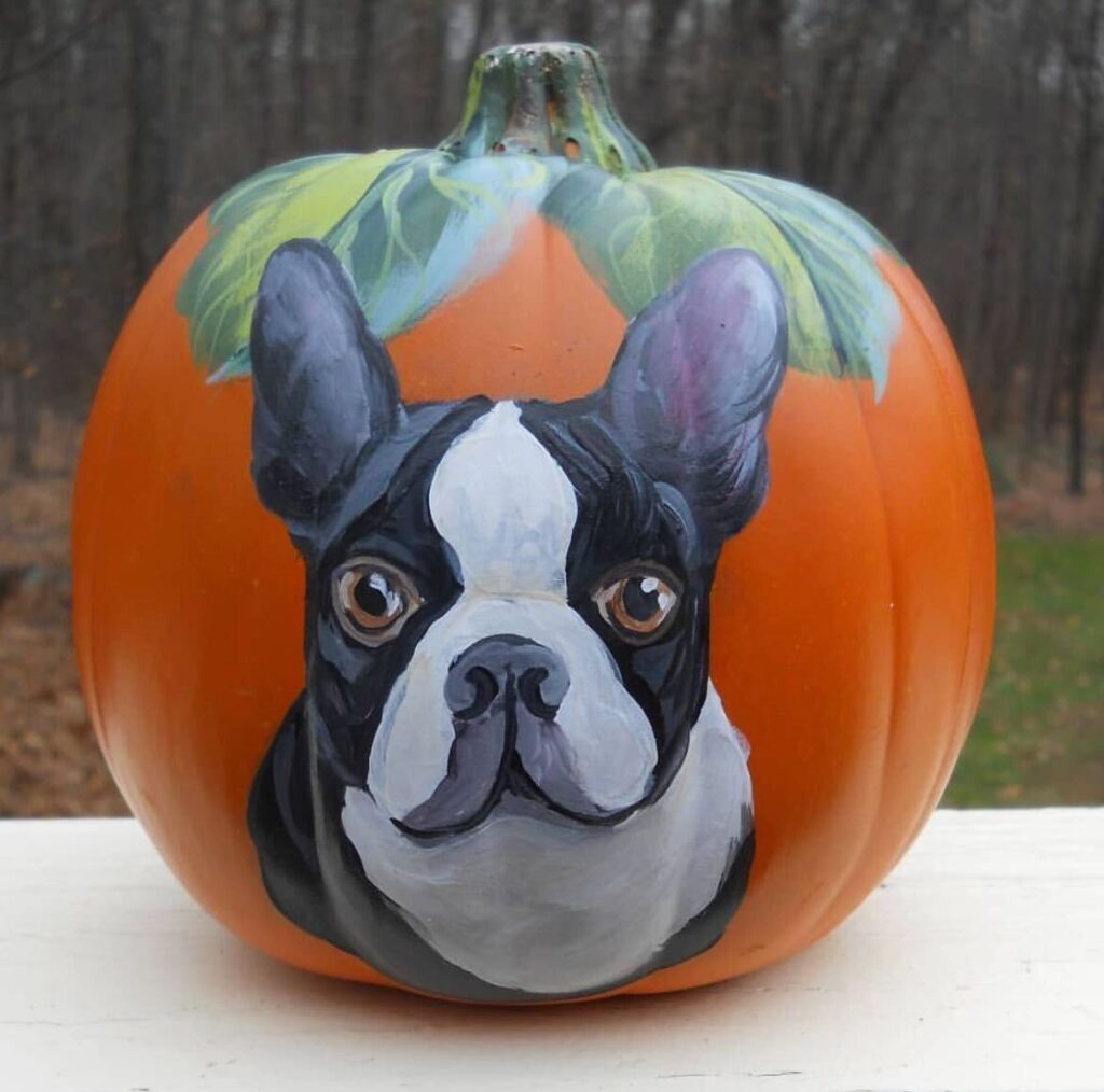 Abóbora de cachorro