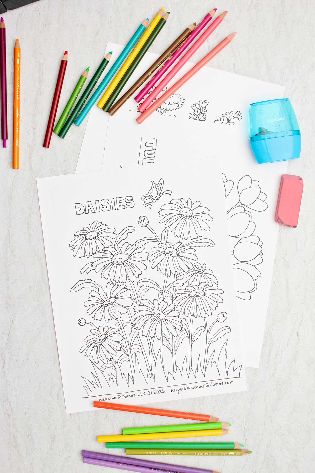 Páginas de colorir não coloridas com lápis de cor, um apontador e uma borracha rosa por perto.