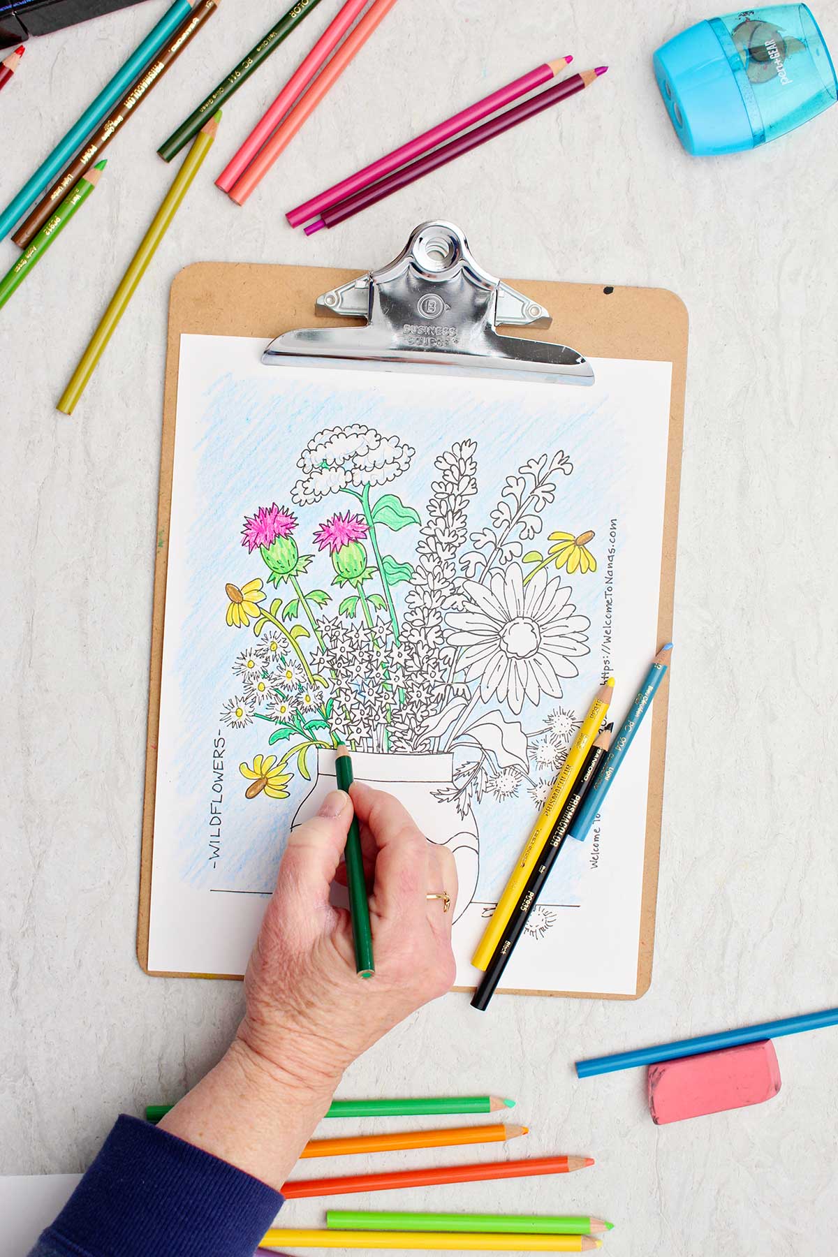 Pessoa colorindo caules de verde na página de colorir de um buquê de flores silvestres em um vaso.
