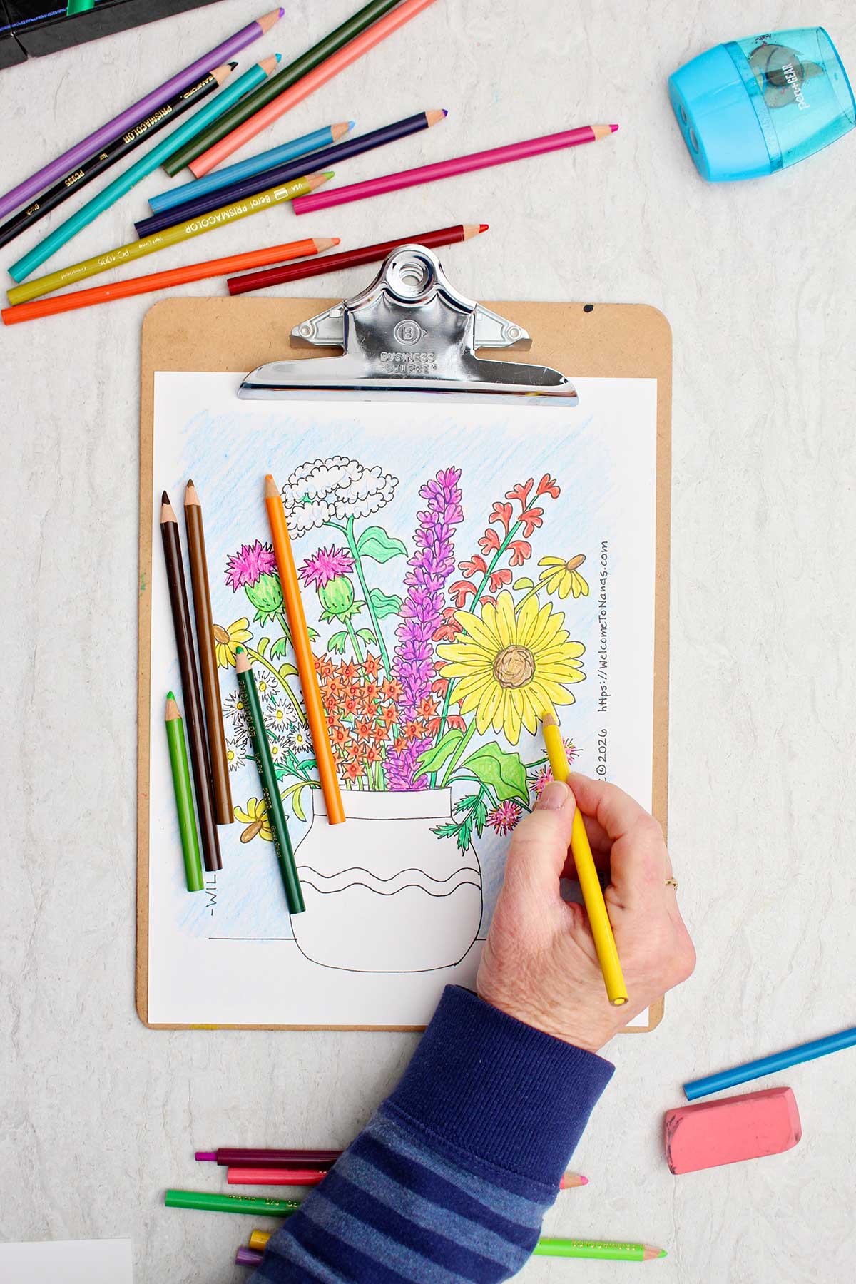 Pessoa colorindo uma margarida amarela na página de colorir de um buquê de flores silvestres em um vaso.