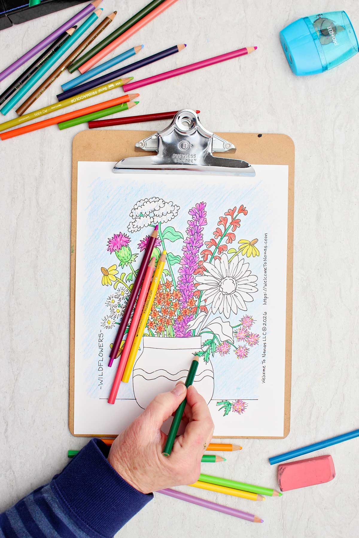 Pessoa colorindo caules de verde na página de colorir de um buquê de flores silvestres em um vaso.