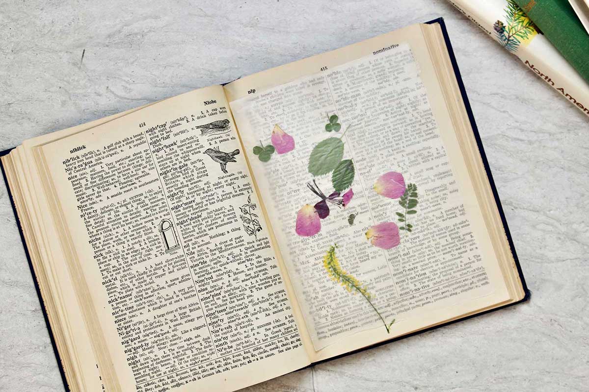 Dicionário aberto com flores pressionadas descansando sobre um pedaço de papel vegetal.
