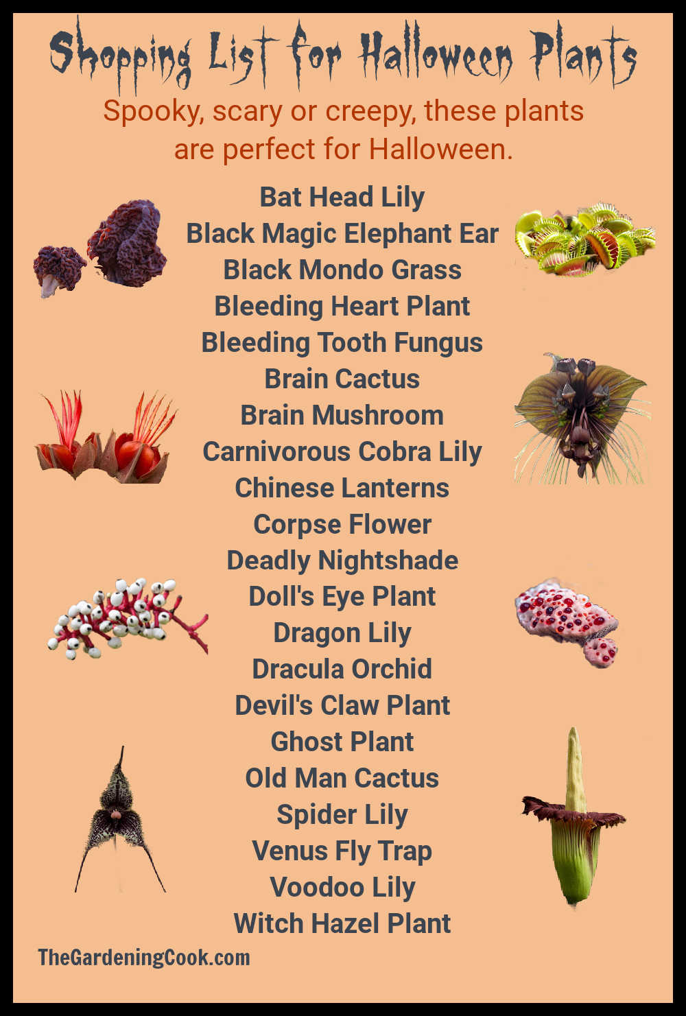 Imagens de plantas assustadoras na lateral de uma lista de compras de plantas de Halloween.