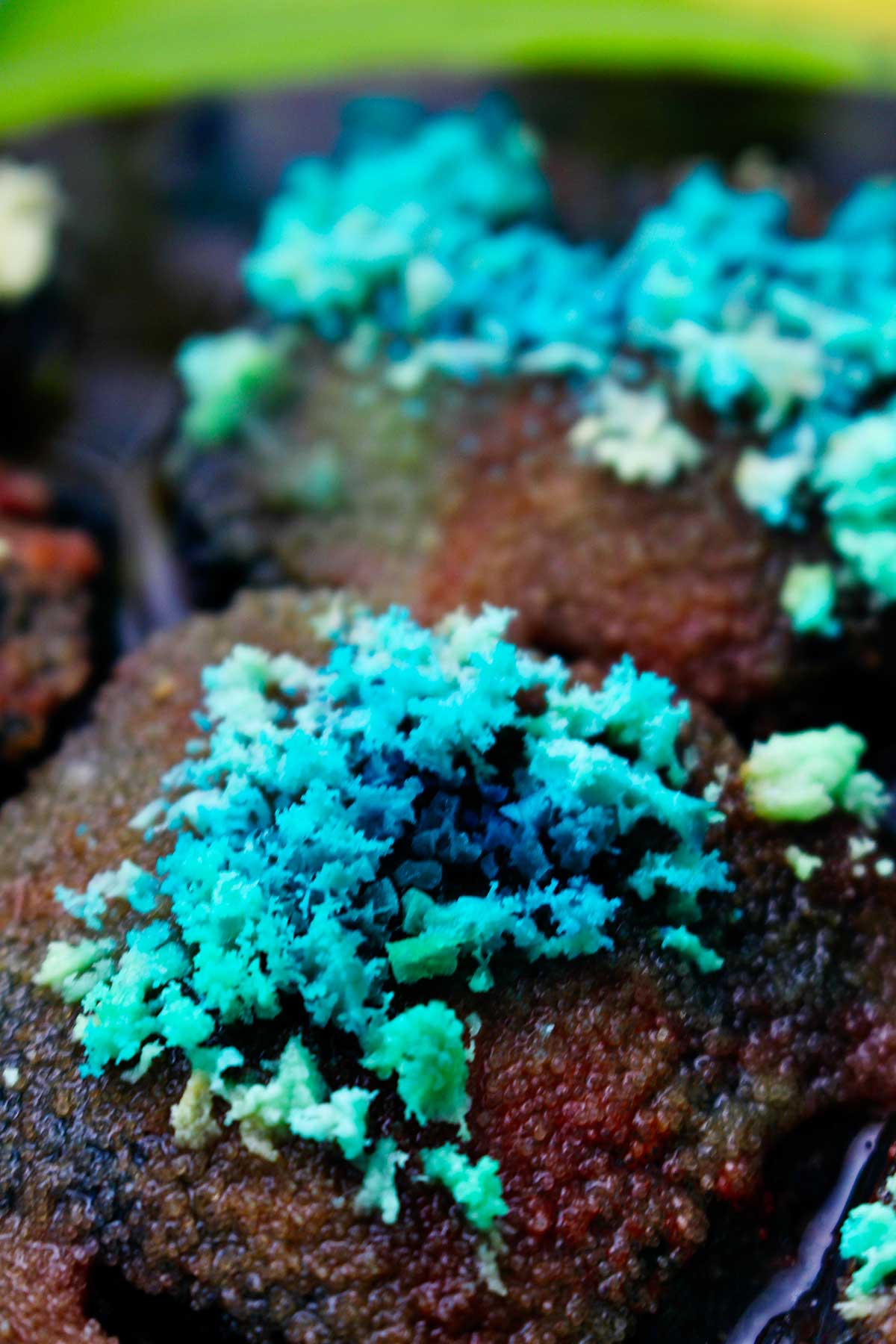 Close de cristais coloridos em verde-água e azul crescendo.