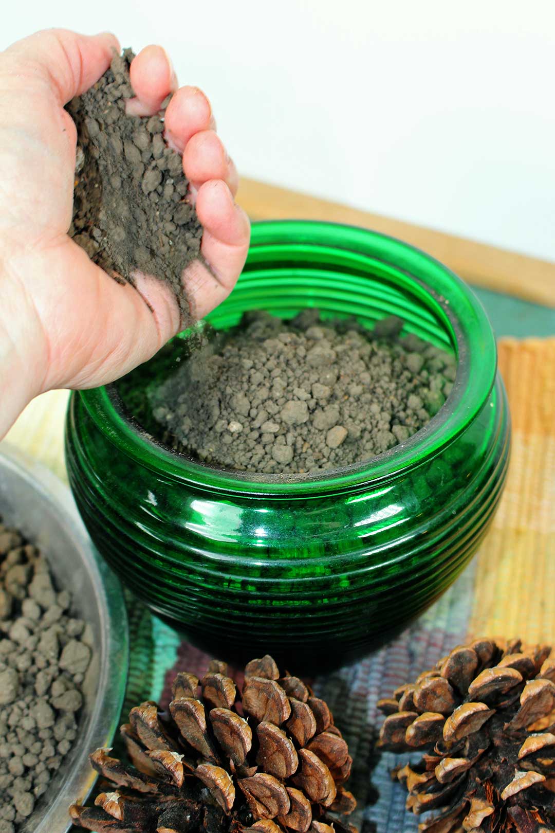 Mão despejando um punhado de terra em pote de vidro verde com duas corcundas de pinheiro descansando sobre uma toalha quadriculada.
