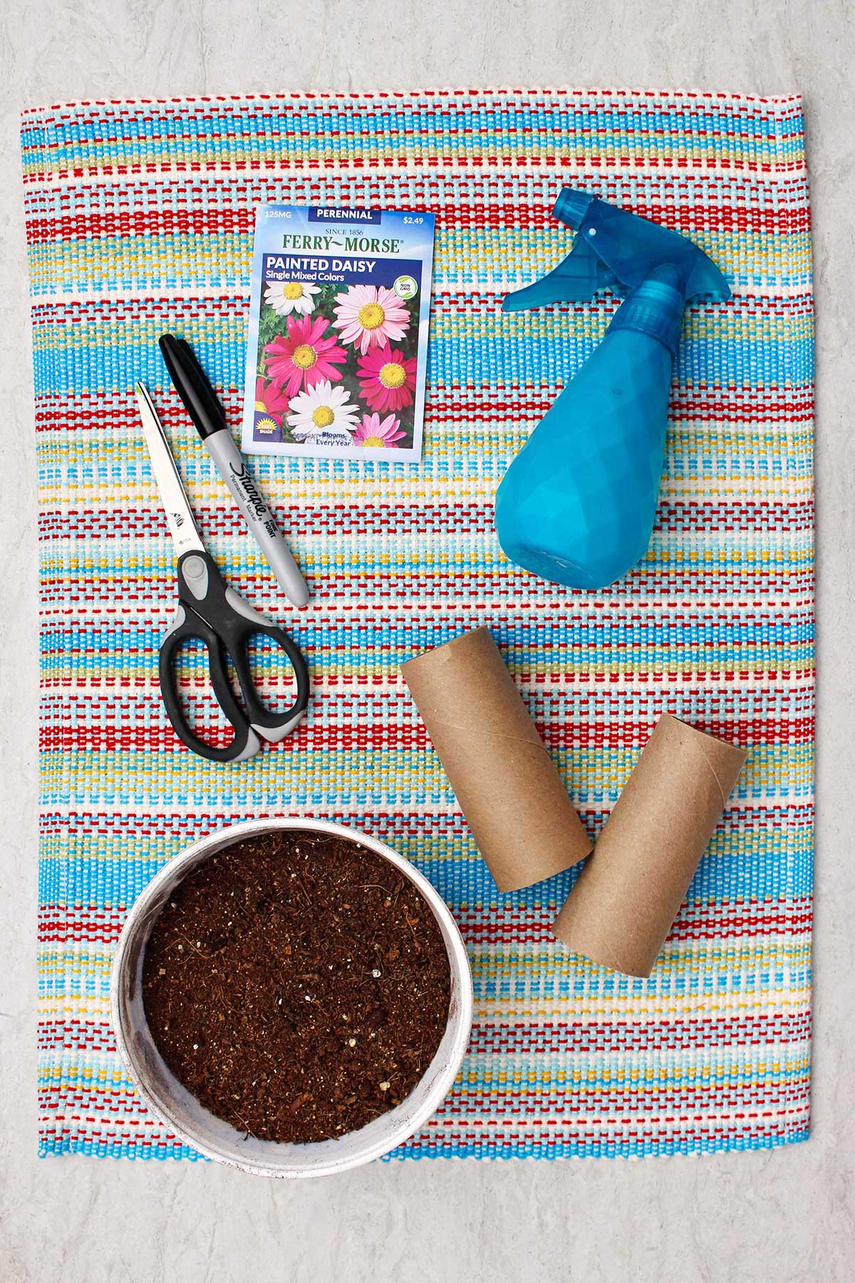 Um borrifador azul, tubos de papel toalha, um recipiente de terra, tesouras, um marcador e um pacote de sementes de margarida descansando sobre um caminho colorido.