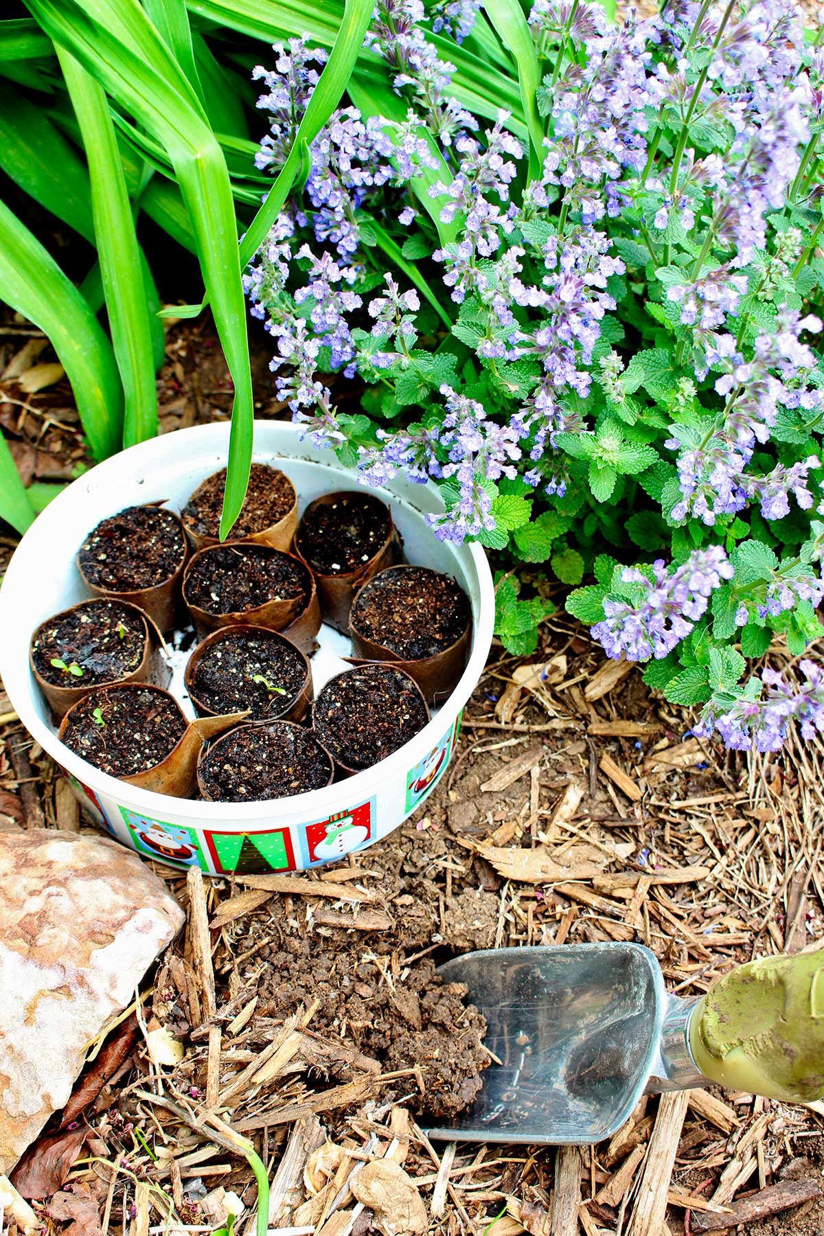 Um recipiente de iniciadores de sementes com brotos surgindo em um jardim pronto para ser plantado.