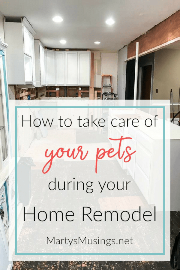Essas dicas práticas ajudarão você E seus pets a sobreviver a seu próximo grande projeto de remodelação de casa com facilidade!