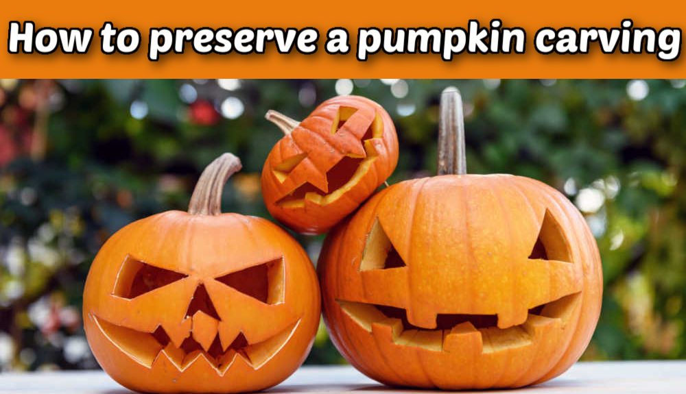 3 jack-'o-lanterns em uma parede ao ar livre. Caixa de texto amarela lê Como preservar uma abóbora esculpida.