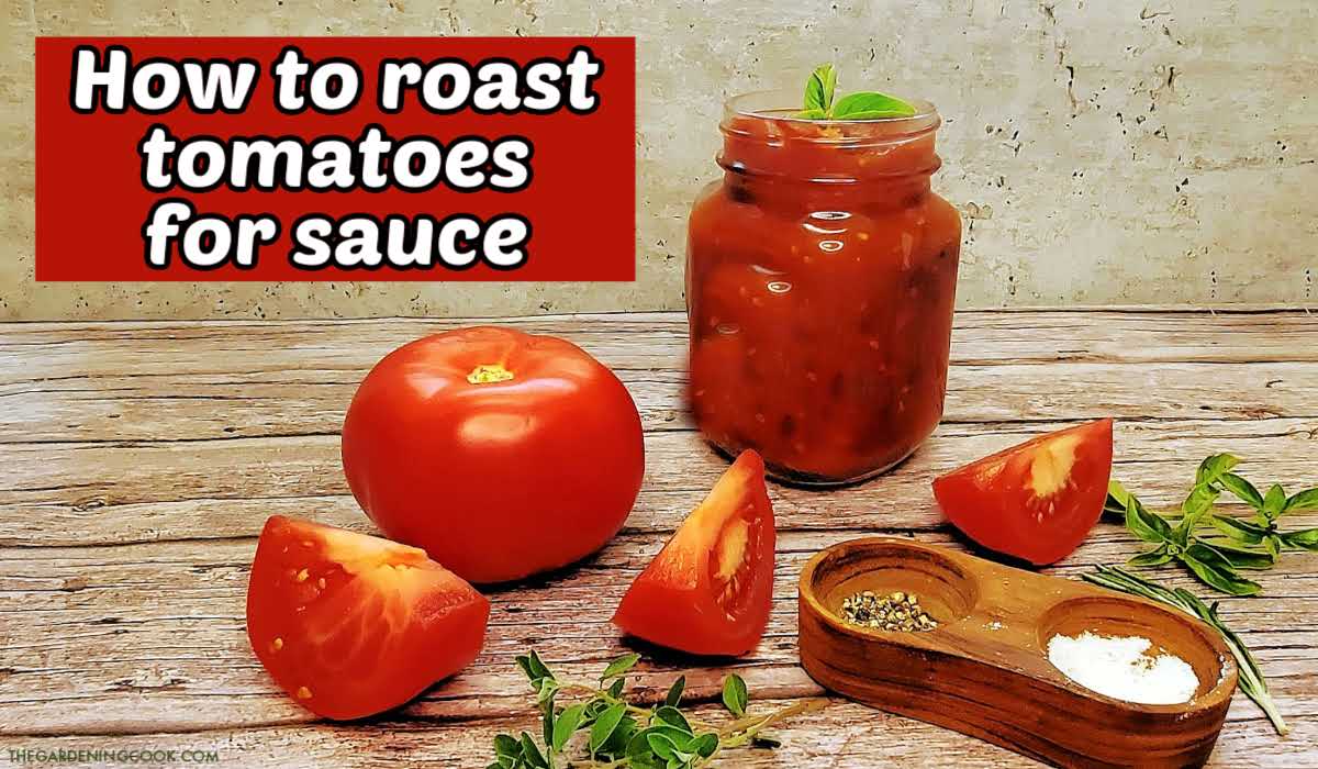 Um jarro de molho de tomate ao lado de um tomate beefsteak, tomates fatiados, ervas e sal e pimenta. Caixa de texto vermelha diz Como torrar tomates para molho.