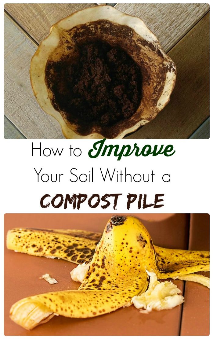 Você não precisa de uma pilha de compostagem para obter um ótimo solo de jardim. A compostagem em trincheiras com restos de cozinha é uma técnica fácil de usar que todos os pequenos jardineiros podem utilizar. thegardeningcook.com