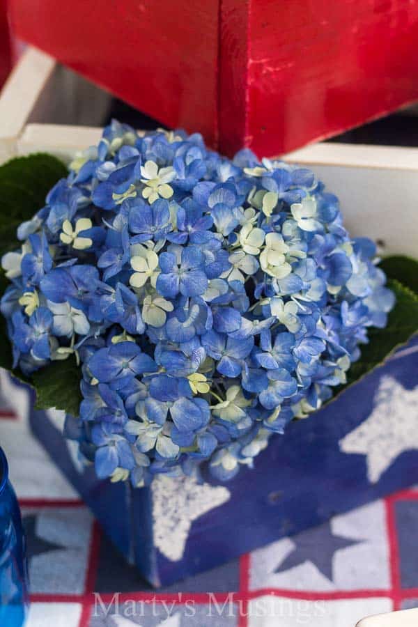 Mesa e flores