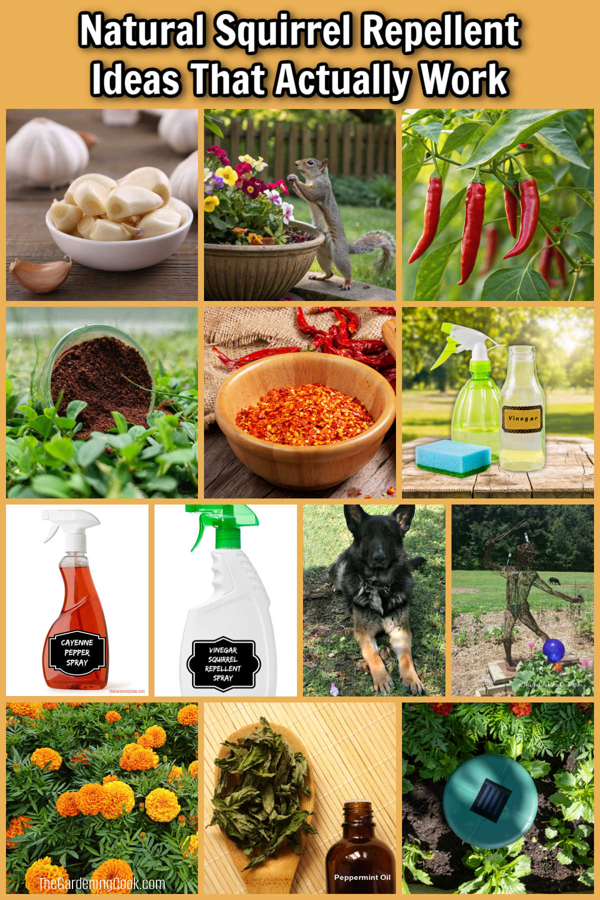 Fotos de ideias de repelente natural para esquilos que funcionam, incluindo sprays, plantas, remédios, animais de estimação e estátuas.