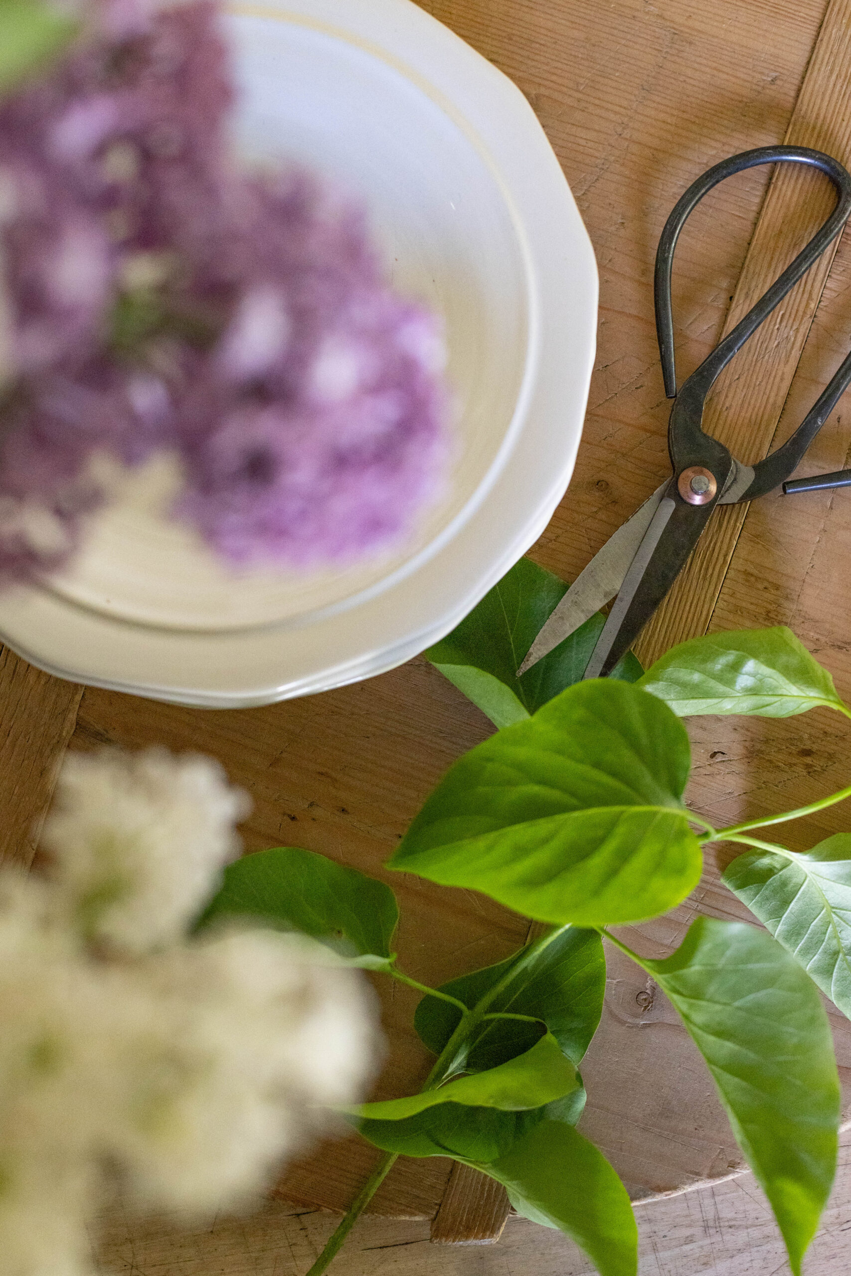 Hastes e flores falsas